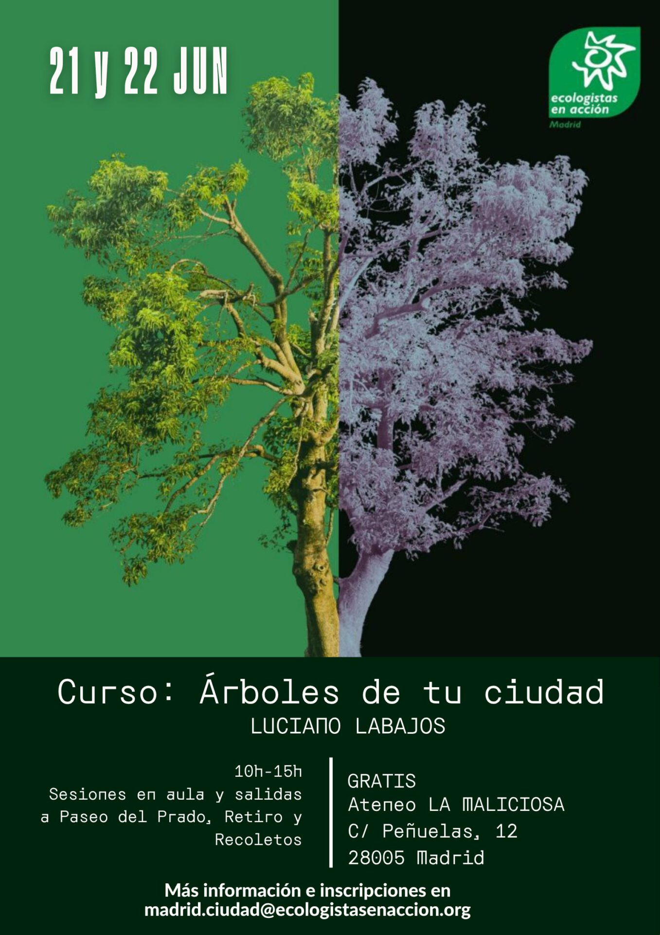 Curso Árboles de tu ciudad