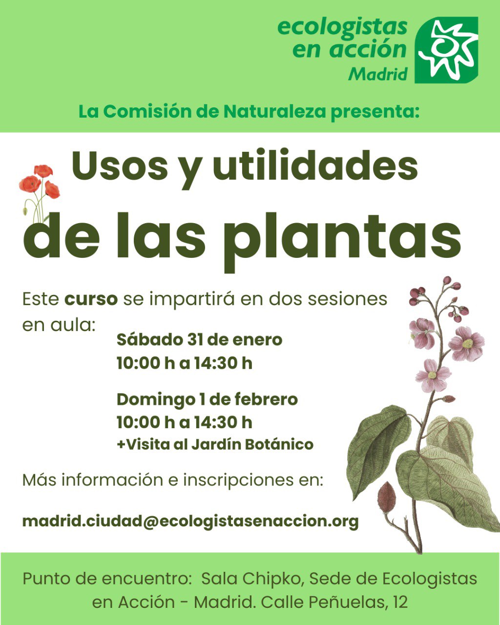 Curso Uso y utilidades de las plantas