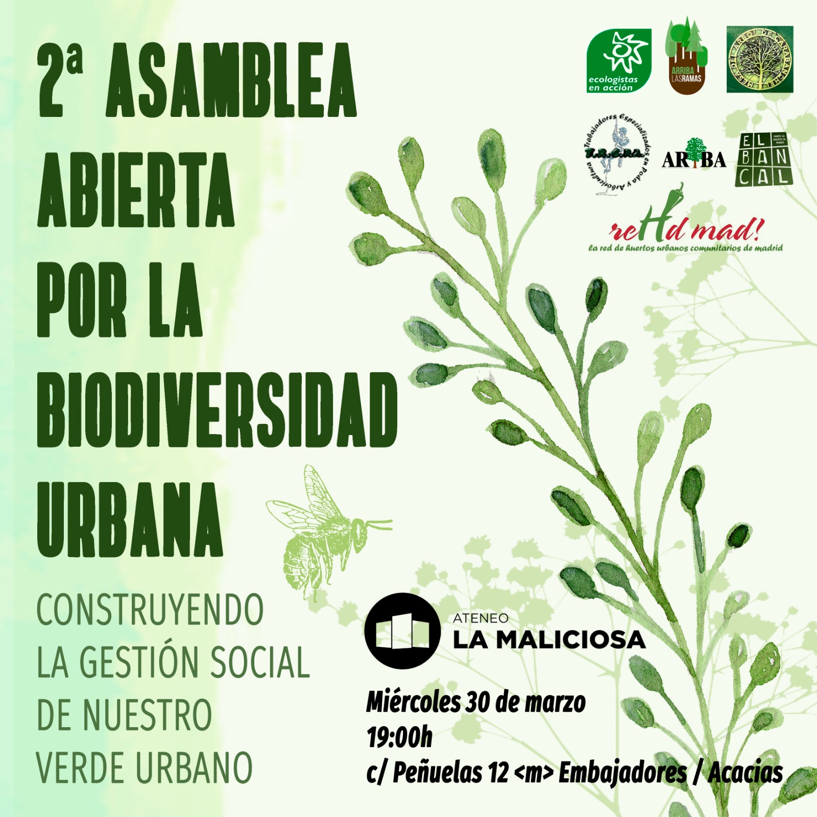 2ª Asamblea Abierta por la Biodiversidad Urbana