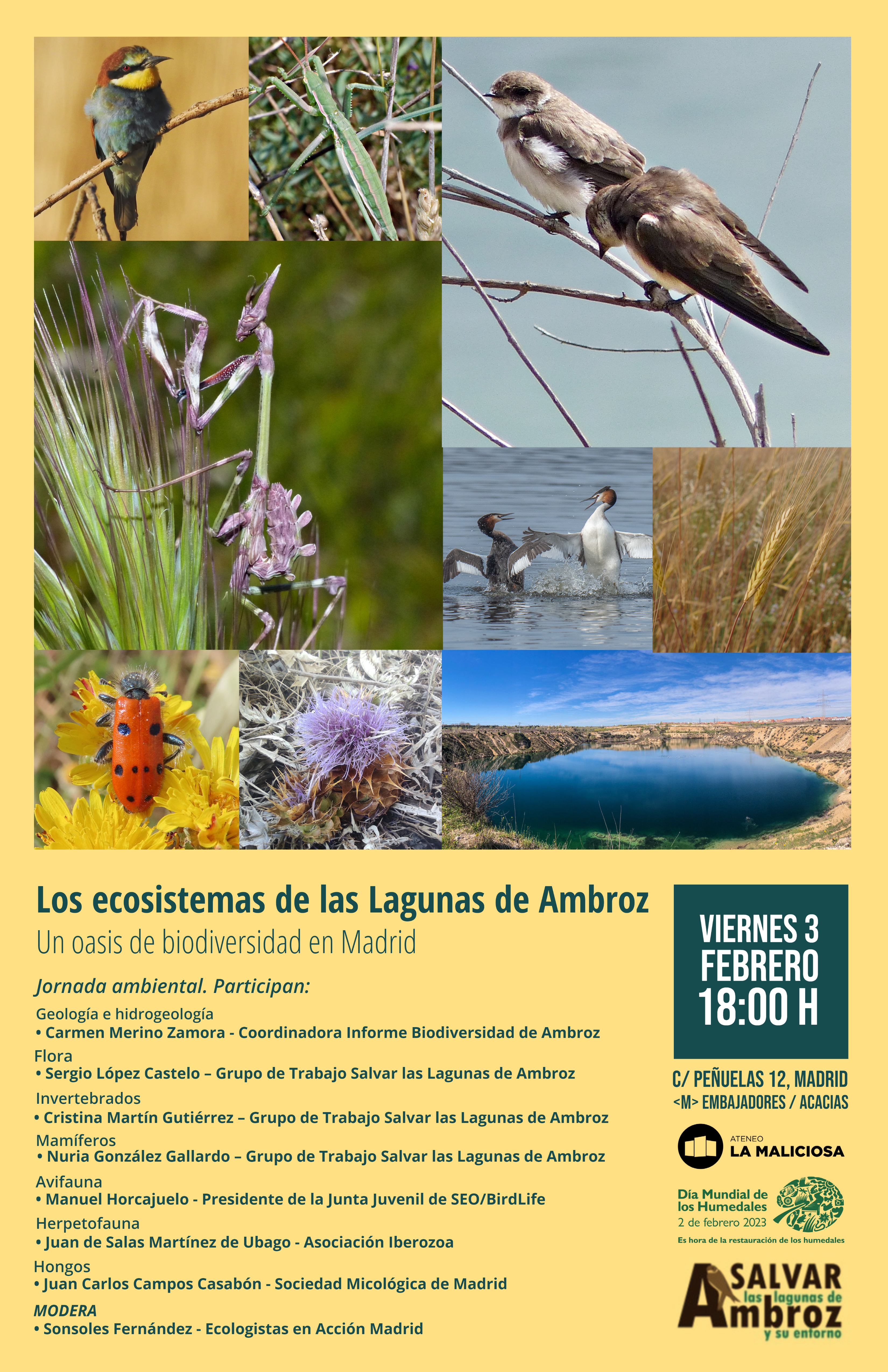 Los ecosistemas de las Lagunas de Ambroz. Un oasis de biodiversidad en Madrid