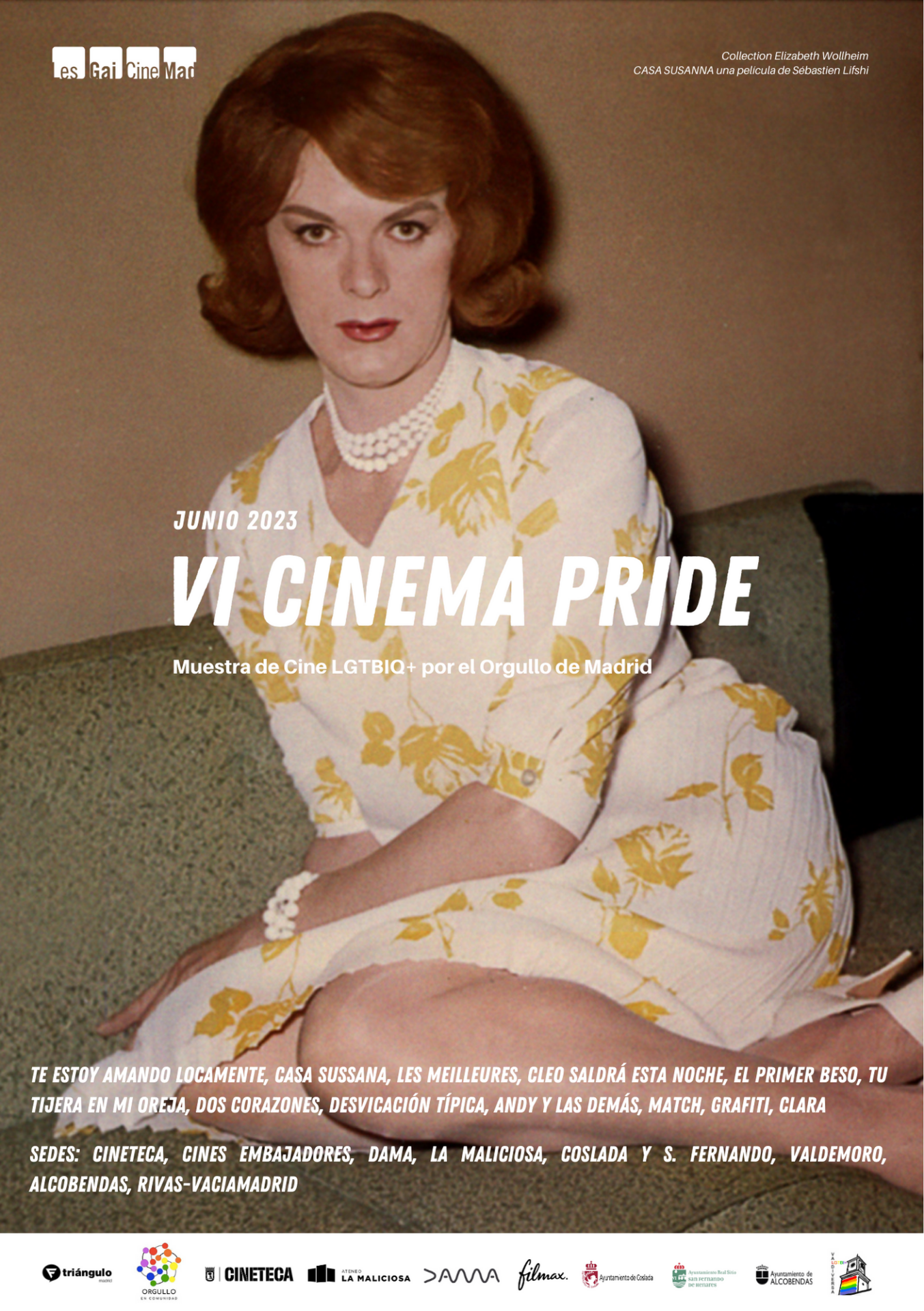 VI Cinema Pride