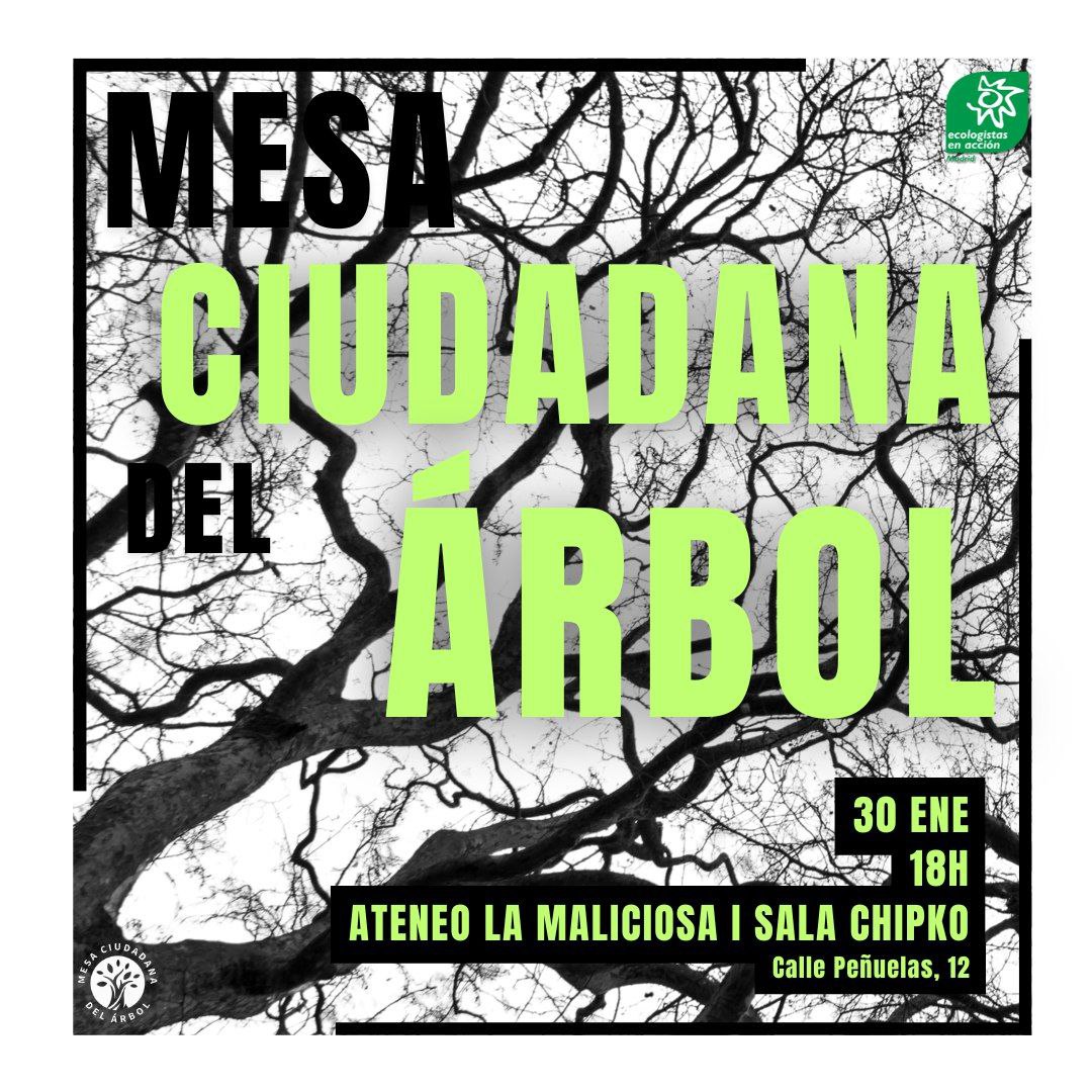 Mesa Ciudadana del Árbol