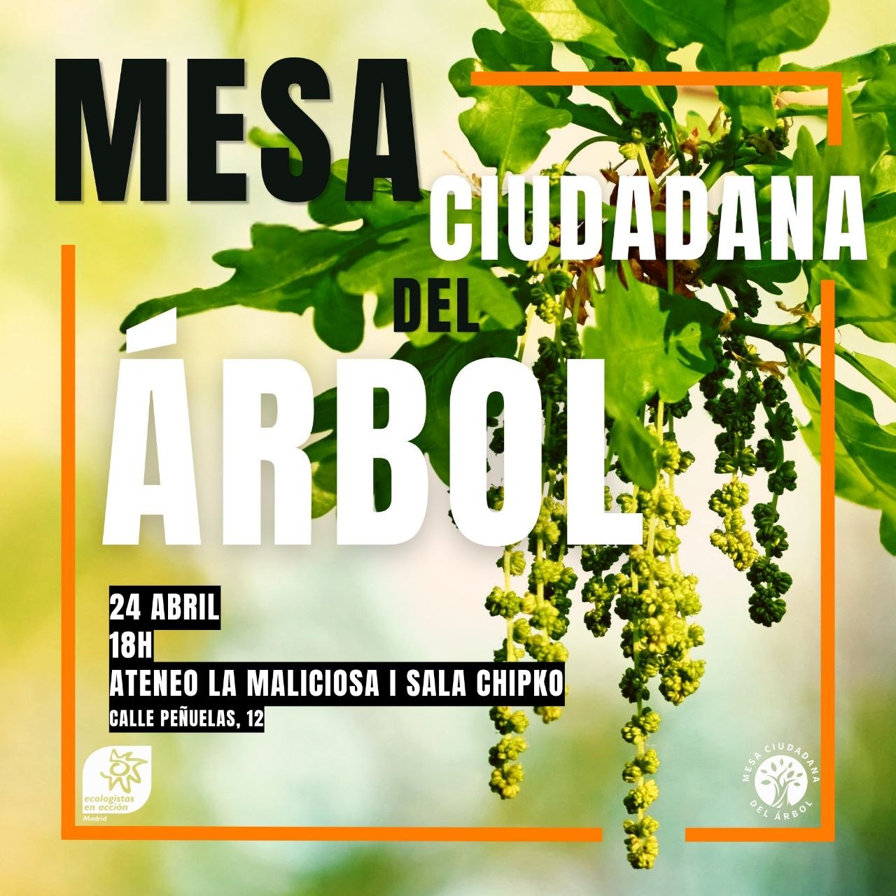 Mesa Ciudadana de Árbol