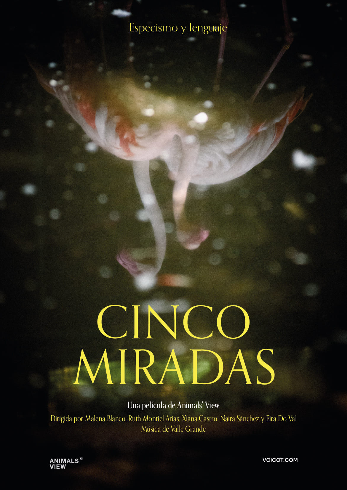 proyección «Cinco Miradas»